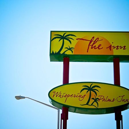 ديل ريو Whispering Palms Inn المظهر الخارجي الصورة